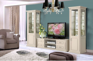 Гостиная Вита