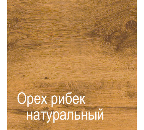 Двухстворчатый шкаф для одежды ГК-6 (СА/ОРН) Кантри